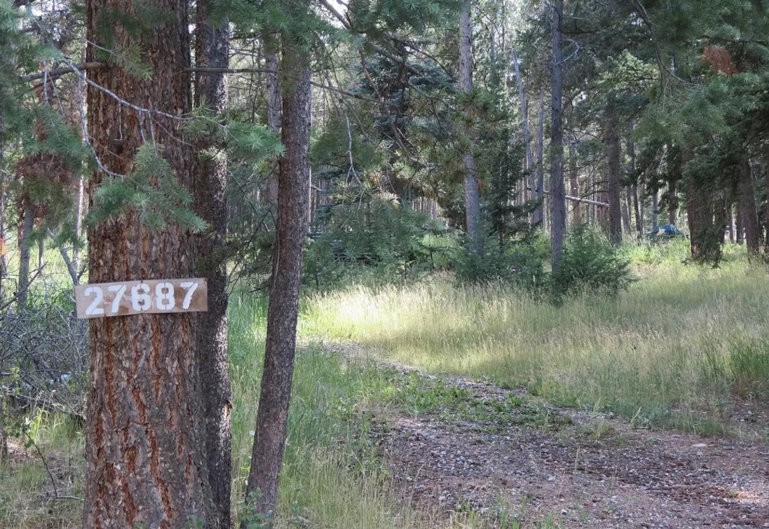 27687 Pine Grove Trail